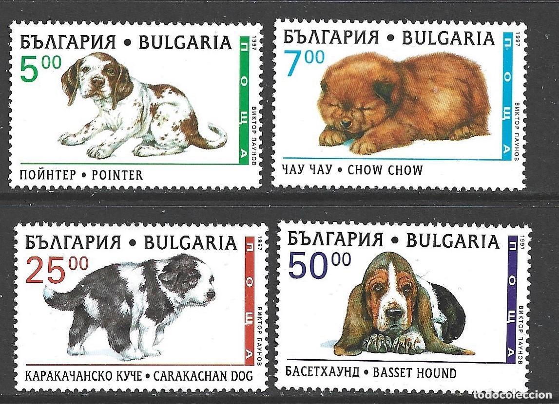 Sellos: Bulgaria 1997 Ivert 3704/7 *** Fauna - Perros de Raza