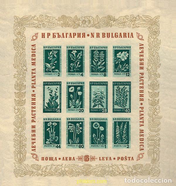 Sellos: 83656 MNH BULGARIA 1953 FLORES Y PLANTAS MEDICINALES