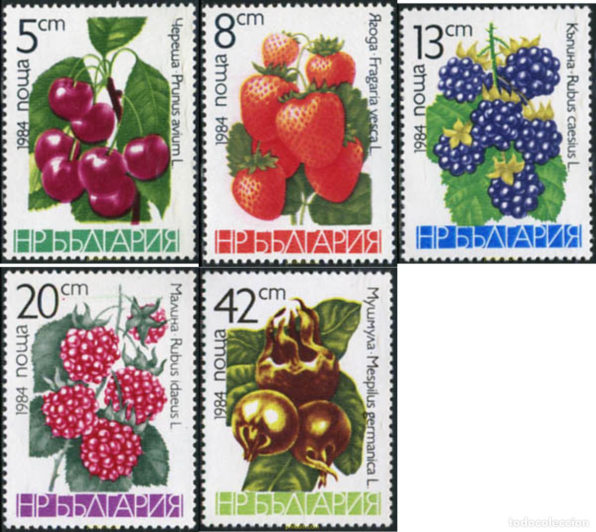 Sellos: 114181 MNH BULGARIA 1984 FRUTOS