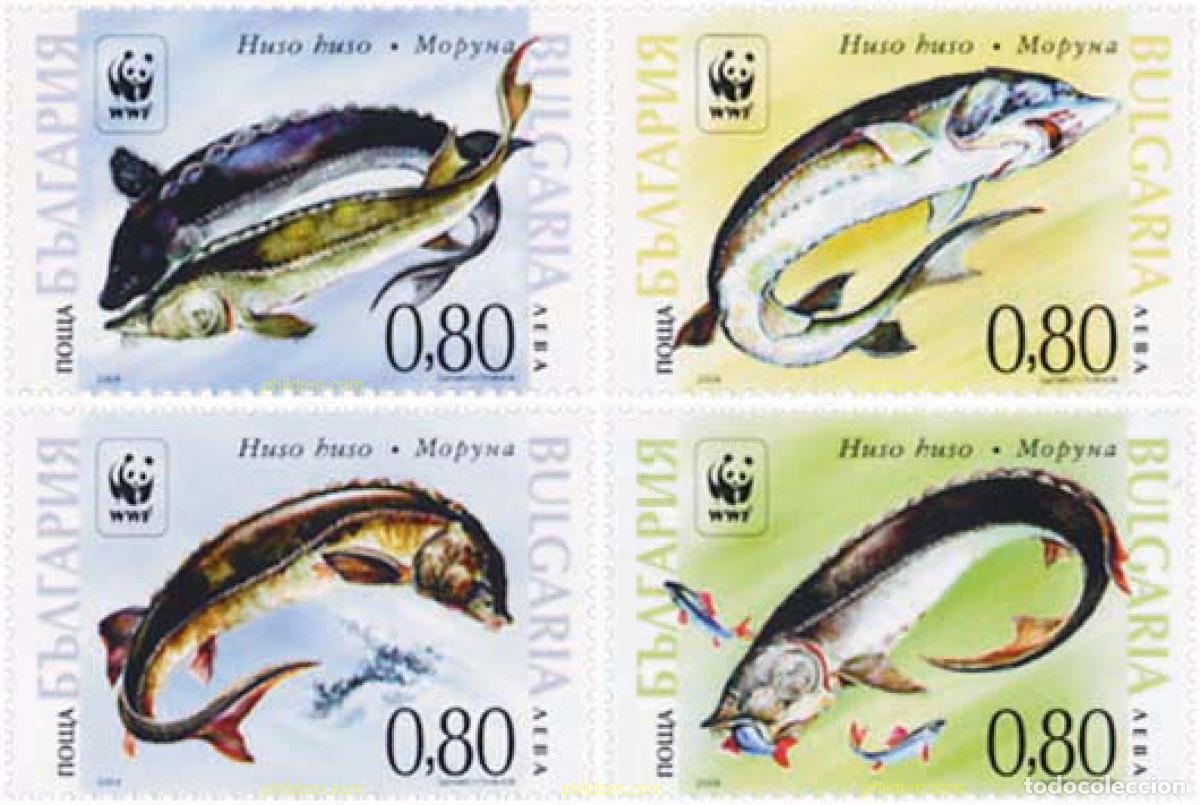 Sellos: 145231 MNH BULGARIA 2004 WWF