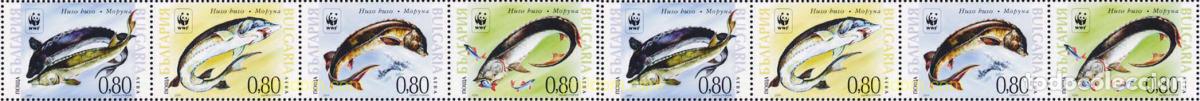 Sellos: 145232 MNH BULGARIA 2004 WWF