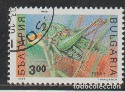 Sellos: BULGARIA // YVERT 3476 A // 1992 ... USADO