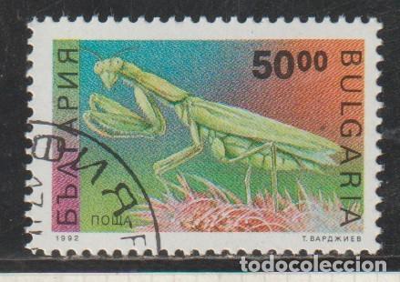 Sellos: BULGARIA // YVERT 3476 B // 1992 ... USADO