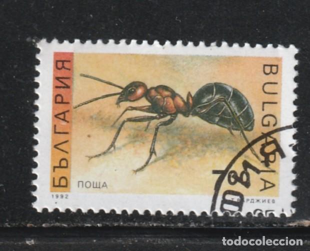 Sellos: BULGARIA // YVERT 3461 a) // 1992 ... USADO