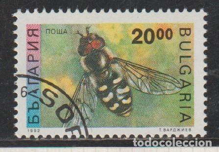 Sellos: BULGARIA // YVERT 3462 A // 1992 ... USADO