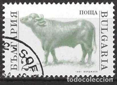 Sellos: Bulgaria 1991 - Mi 3883 - YT 3360 - Fauna : El toro