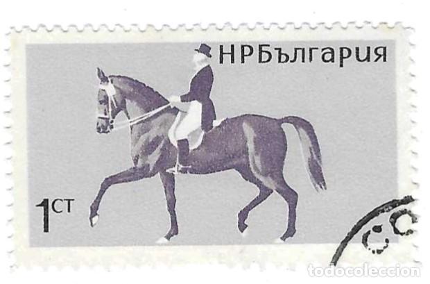 Sellos: Sello usado Bulgaria. n&ordm; 1566. a&ntilde;o 1965. facial 1 St. Deportes Ecuestres. Doma. ref. 2-bul1566