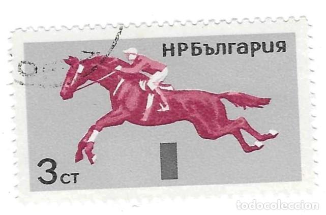 Sellos: Sello usado Bulgaria. n&ordm; 1568. a&ntilde;o 1965, facial 3 St. Deportes Ecuestres. Salto. ref. 2-bul1568