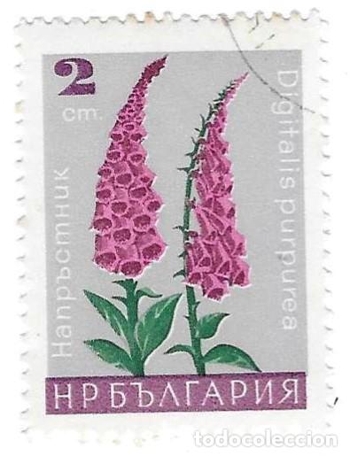 Sellos: Sello usado Bulgaria. n&ordm; 1684. Flores de Jard&iacute;n. Dedaleras. ref. 2-bul1684