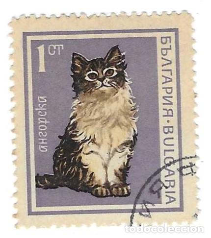 Sellos: Sello usado Bulgaria. a&ntilde;o 1715. Gatos. Angora. ref. 2-bul1715