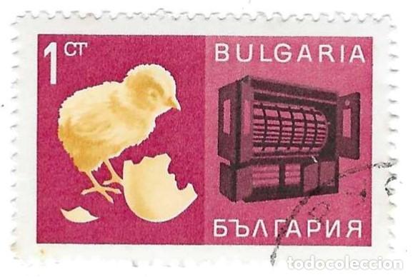 Sellos: Sello usado Bulgaria. n&ordm; 1722. Econom&iacute;a. Av&iacute;cola. ref. 2-bul1722