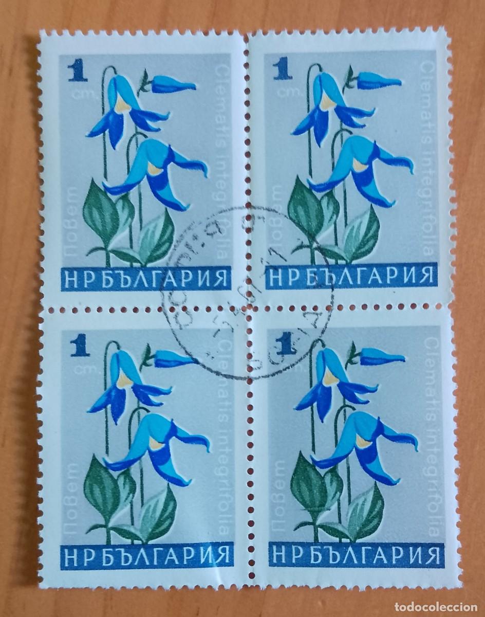 Sellos: BULGARIA - V/F 1 CM - CLEMATIS INTEGRIFOLIA - FLOR DE JARDIN - MATASELLOS: 5.4.67