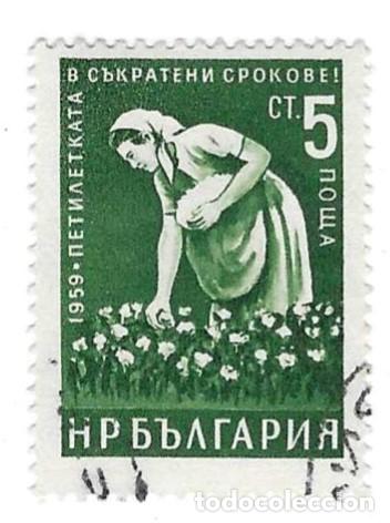 Sellos: Sello usado Bulgaria. n&ordm; 1113. a&ntilde;o 1959. Recolectora de Algod&oacute;n. ref. 2-bul1113