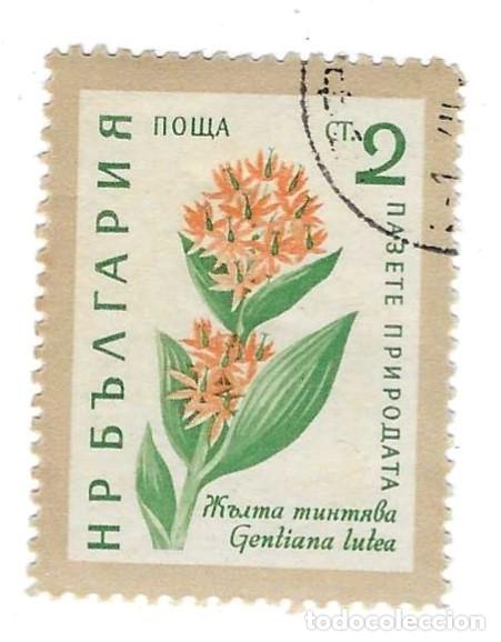 Sellos: Sello usado Bulgaria. n&ordm; 1164. a&ntilde;o 1960. Flores. Genciano Amarilla. ref. 2-bul1164