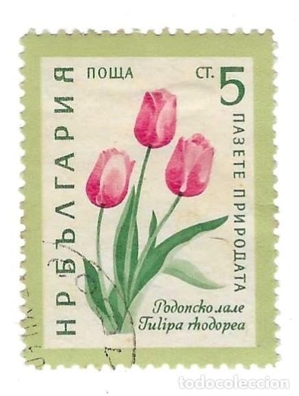 Sellos: Sello usado Bulgaria. n&ordm; 1165. a&ntilde;o 1960. Flores. Tulipanes. ref. 2-bul1165