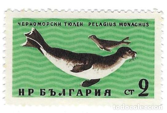 Sellos: Sello usado Bulgaria. n&ordm; 1230. Fauna del Mar Negro. Foca Monje Mediterr&aacute;nea. ref. 2-bul1230