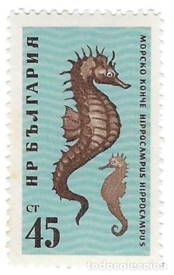 Sellos: Sello nuevo Bulgaria. n&ordm; 1233. Fauna del Mar Negro. Caballito de Mar, nuevo. ref. 2-bul1233n