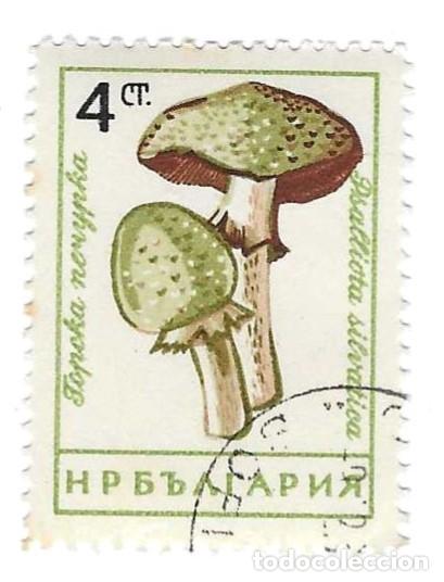 Sellos: Sello usado Bulgaria. n&ordm; 1257. a&ntilde;o 1961. Setas. Agarico de los Bosques. ref. 2-bul1257