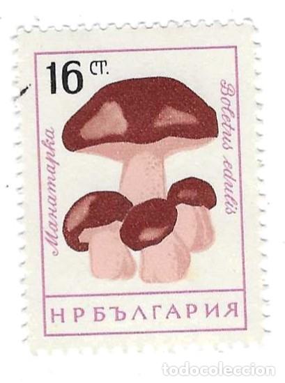 Sellos: Sello usado Bulgaria. n&ordm; 1259. Setas. Hongo Blanco. ref. 2-bul1259