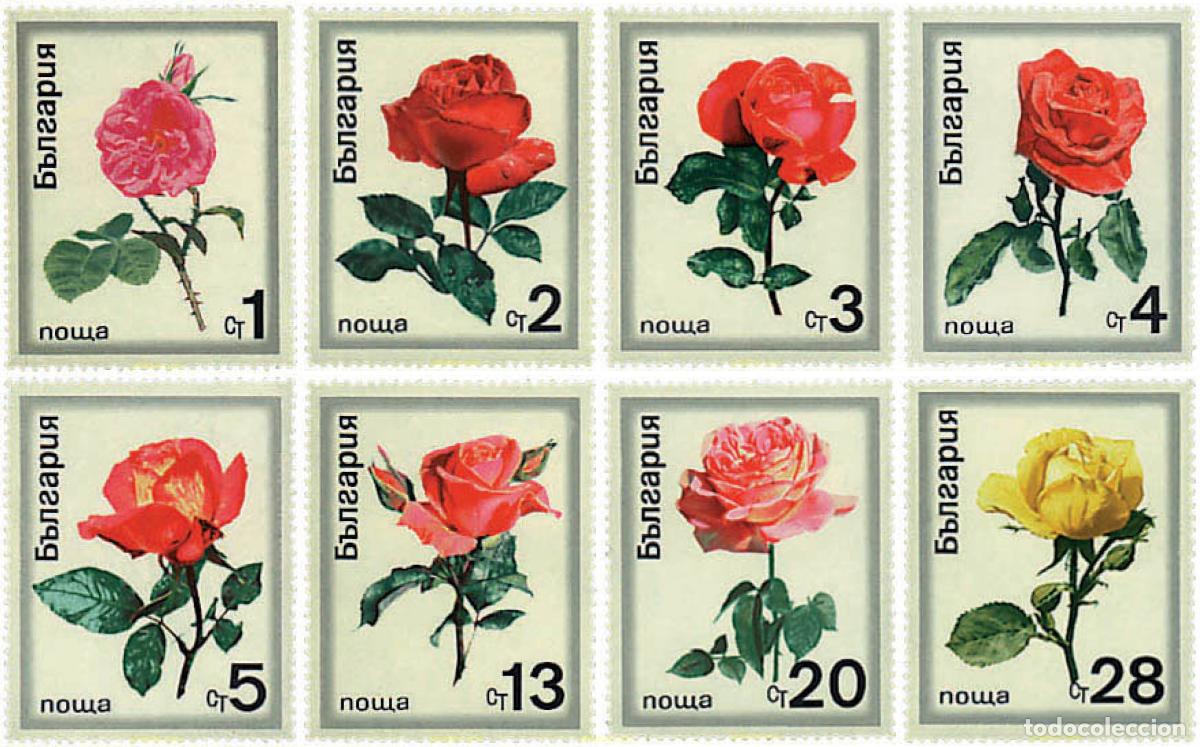 Sellos: 83668 MNH BULGARIA 1970 ROSAS