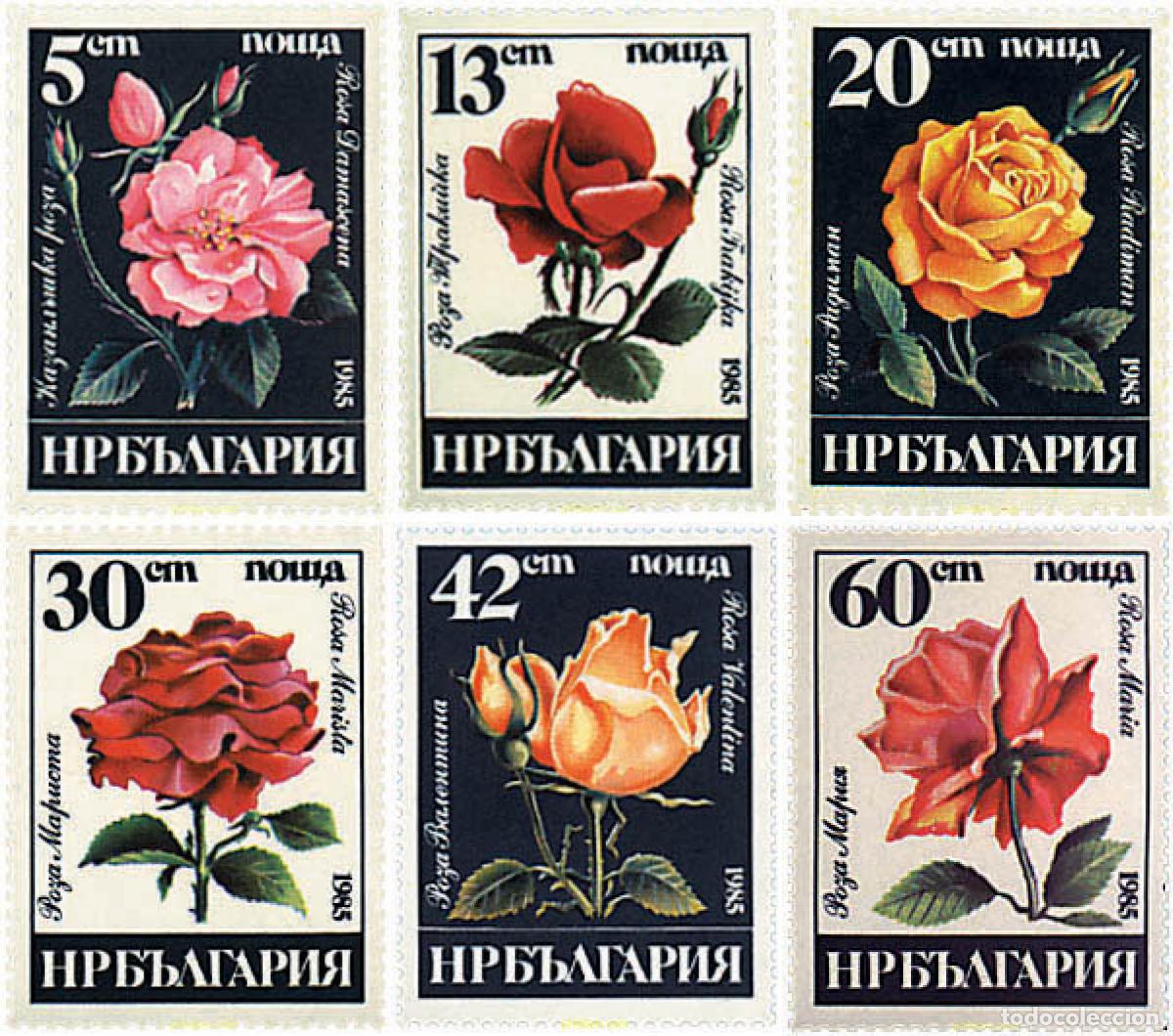 Sellos: 83680 MNH BULGARIA 1985 ROSAS