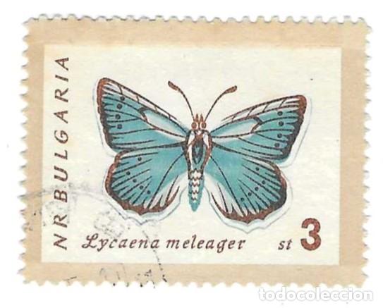 Sellos: Sello usado Bulgaria. n&ordm; 1334. Mariposas. Meleagros Azul. ref. 2-bul1334