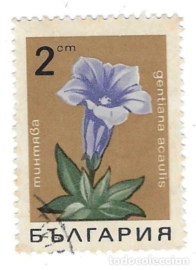 Sellos: Sello usado Bulgaria. n&ordm; 1792. Flores. Genciana. ref. 2-bul1792