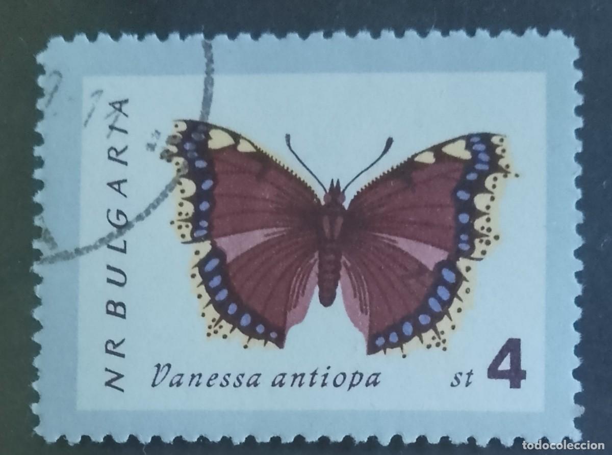 Sellos: BULGARIA - V/F ST 4 - MARIPOSA, VANESSA ANTIOPA