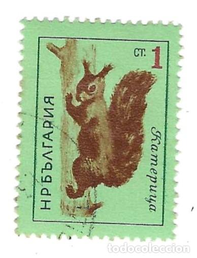 Sellos: Sello usado Bulgaria. n&ordm; 1368. Fauna. Ardilla. ref. 2-bul1368