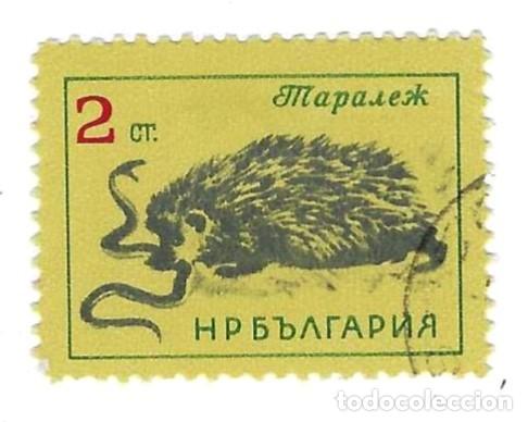 Sellos: Sello usado Bulgaria. n&ordm; 1369. Fauna. Erizo. ref. 2-bul1369