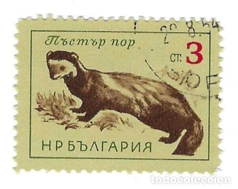 Sellos: Sello usado Bulgaria. n&ordm; 1370. Fauna. Tur&oacute;n. ref. 2-bul1370