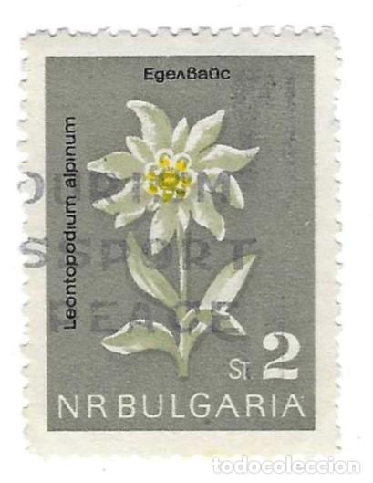 Sellos: Sello usado Bulgaria. n&ordm; 1399. Flores. Edelweis. ref. 2-bul1399