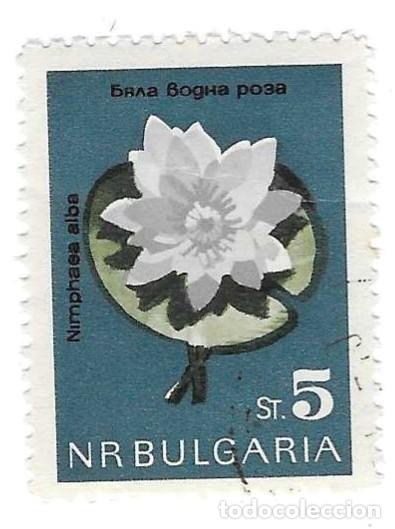 Sellos: Sello usado Bulgaria. a&ntilde;o 1401. Flores. Nenufar Blanco. ref. 2-bul1401
