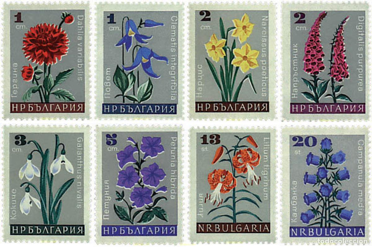 Sellos: 795061 MNH BULGARIA 1966 FLORES DE JARDIN