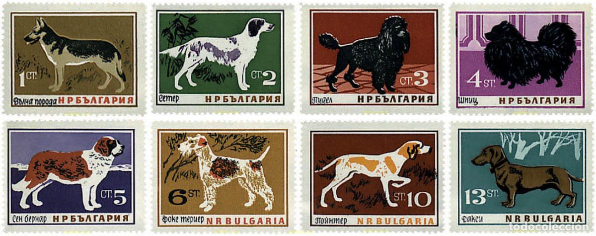 Sellos: 795124 MNH BULGARIA 1964 PERROS DE RAZA