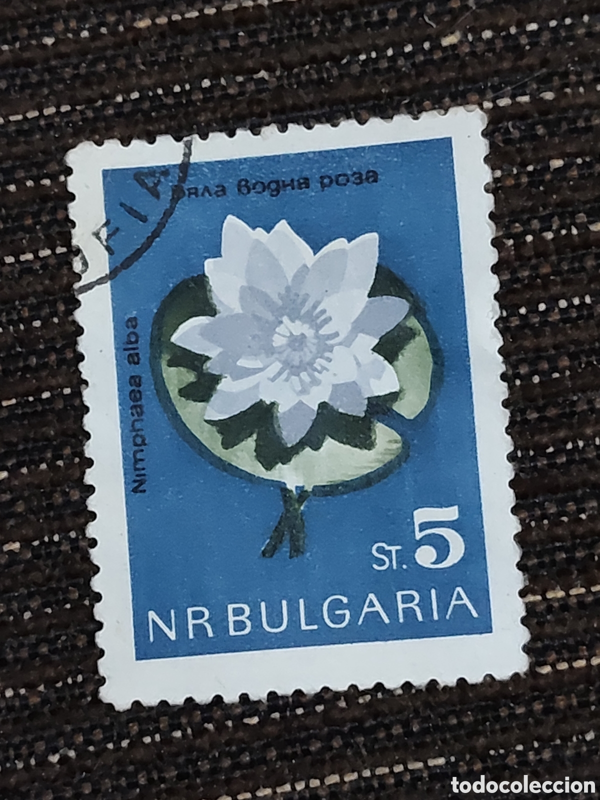Sellos: Sello de Bulgaria flores y protecci&oacute;n de la naturaleza 1963