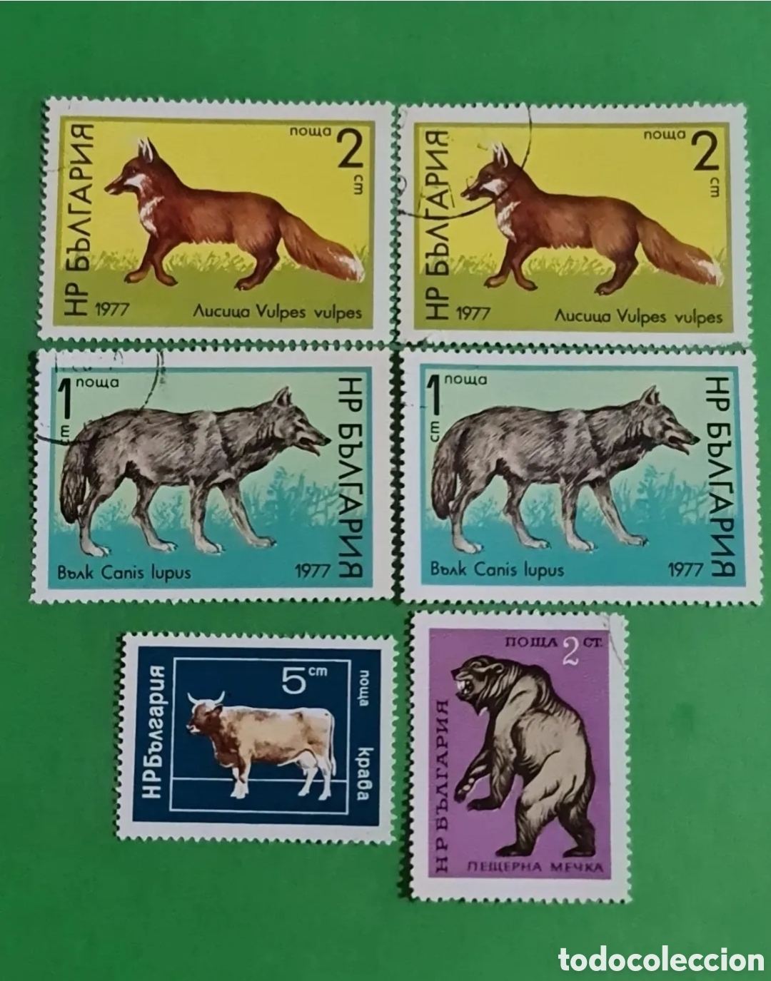 Selos: Coleccion 8 sellos postales/ Bulgaria (1977)