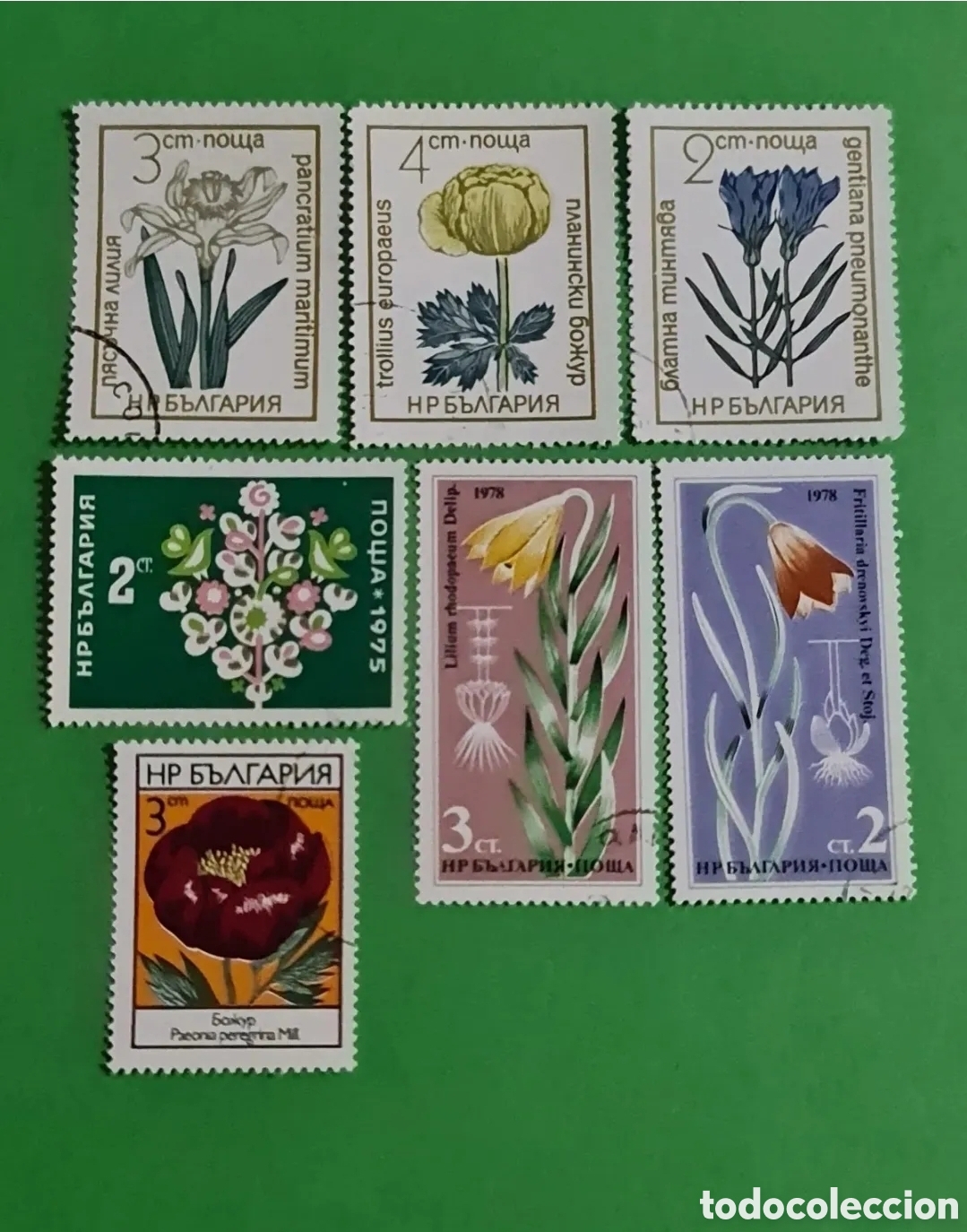 Selos: Bulgaria / Coleccion 7 sellos postales/ Flores.