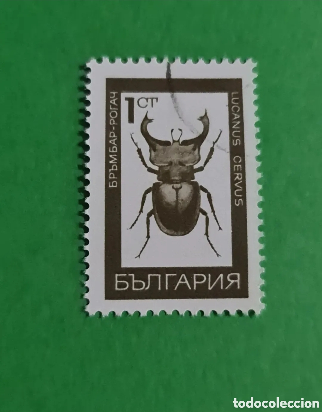 Sellos: Bulgaria / 3 sellos postales - Foto 2