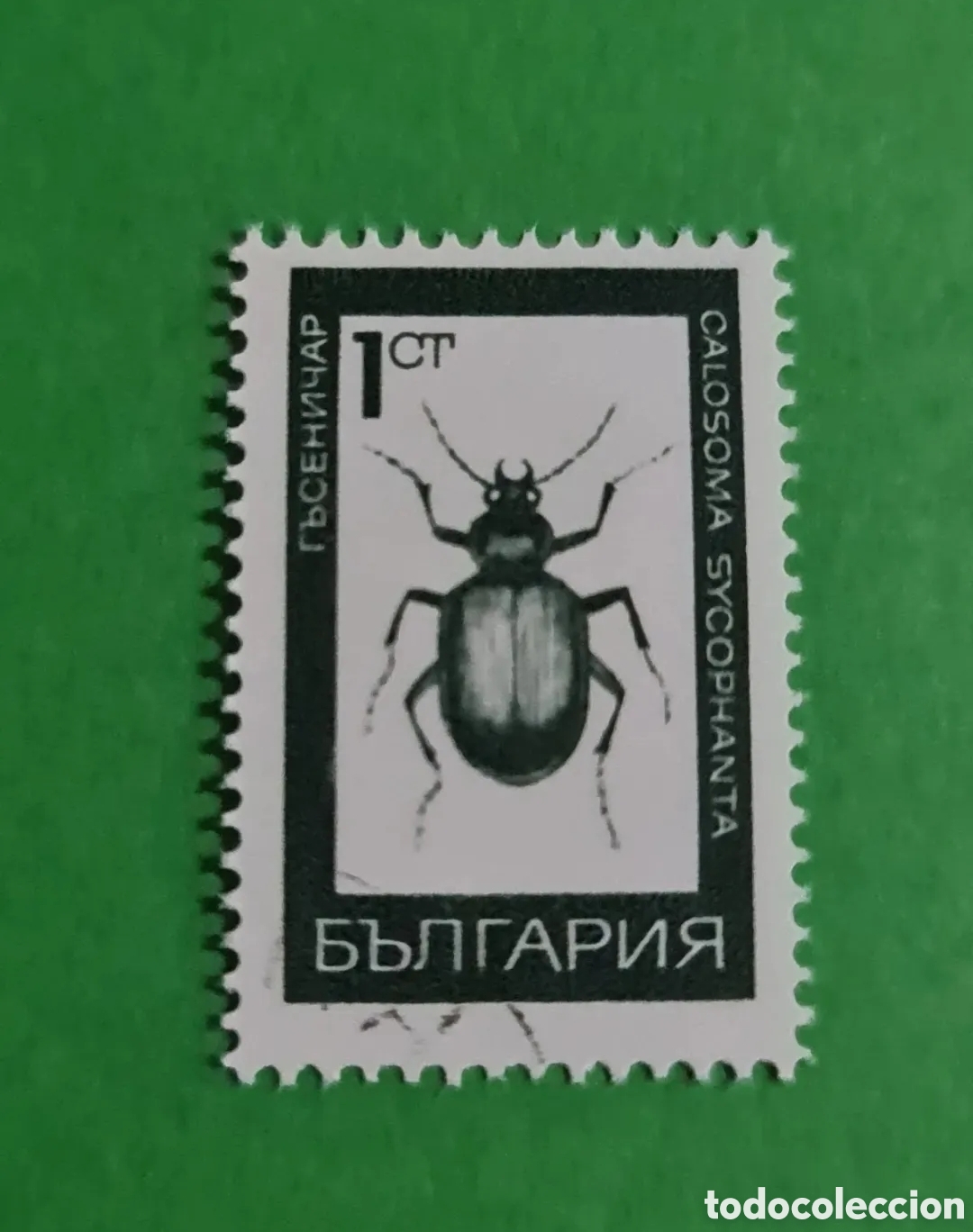 Sellos: Bulgaria / 3 sellos postales - Foto 3