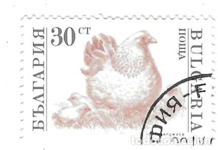 Sellos: Sello usado Bulgaria n&ordm; 3895. Animales Dom&eacute;sticos. Gallina. ref. 2-bul3895