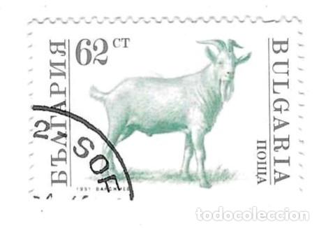 Sellos: Sello usado Bulgaria. n&ordm; 3896. Animales Dom&eacute;sticos. Cabra. ref. 2-bul3896