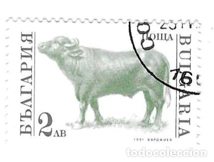 Sellos: Sello usado Bulgaria. n&ordm; 3897. Animales Dom&eacute;sticos. Buey. ref. 2-bul3897