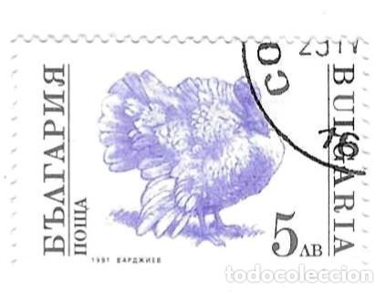 Sellos: Sello usado Bulgaria. n&ordm; 3898. Animales Dom&eacute;sticos. Pavo. ref. 2-bul3898