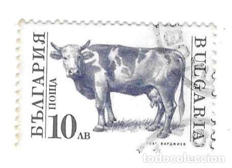 Sellos: Sello usado Bulgaria, n&ordm; 3899. Animales Dom&eacute;sticos. Vaca. ref. 2-bul3899