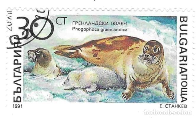 Sellos: Sello usado Bulgaria n&ordm; 3973. Mamiferos Marinos. Foca Arpa. ref. 2-bul3973