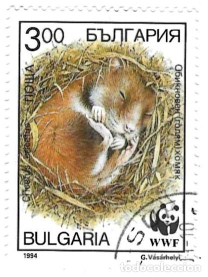 Sellos: Sello usado Bulgaria n&ordm; 4138. WWF. Hamster Europeo. ref. 2-bul4138