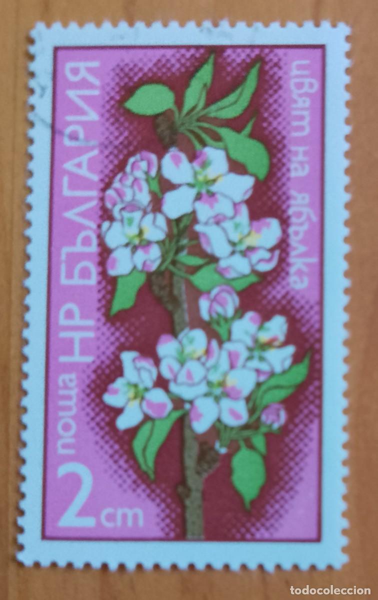 Sellos: BULGARIA - V/F 2 CM - VER DESCRIPCI&Oacute;N