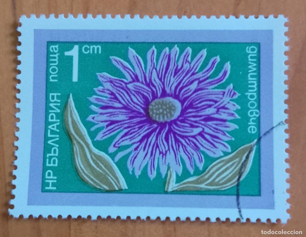 Sellos: BULGARIA - V/F 1 CM - VER DESCRIPCI&Oacute;N