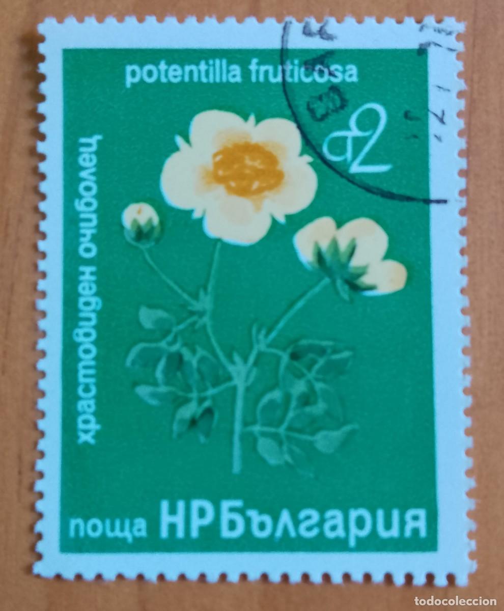 Sellos: BULGARIA - V/F 2 CT - VER DESCRIPCI&Oacute;N